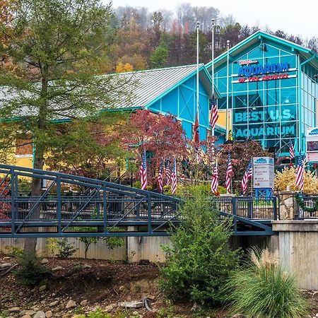 Bear View Chalet, 3 Bedroom, Pool, Pets, Arcades, Wifi, Hot Tub, Sleeps 12 Gatlinburg Eksteriør bilde