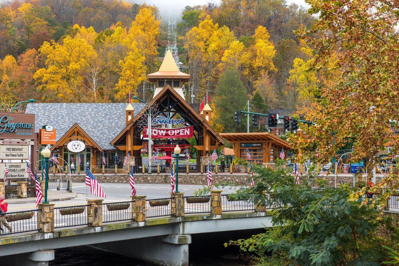Bear View Chalet, 3 Bedroom, Pool, Pets, Arcades, Wifi, Hot Tub, Sleeps 12 Gatlinburg Eksteriør bilde