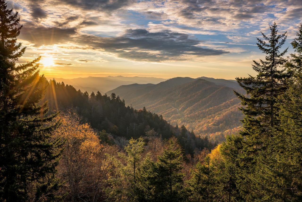 Bear View Chalet, 3 Bedroom, Pool, Pets, Arcades, Wifi, Hot Tub, Sleeps 12 Gatlinburg Eksteriør bilde