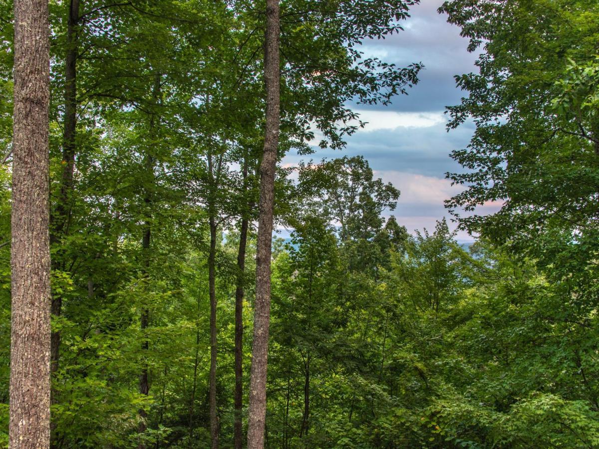 Bear View Chalet, 3 Bedroom, Pool, Pets, Arcades, Wifi, Hot Tub, Sleeps 12 Gatlinburg Eksteriør bilde
