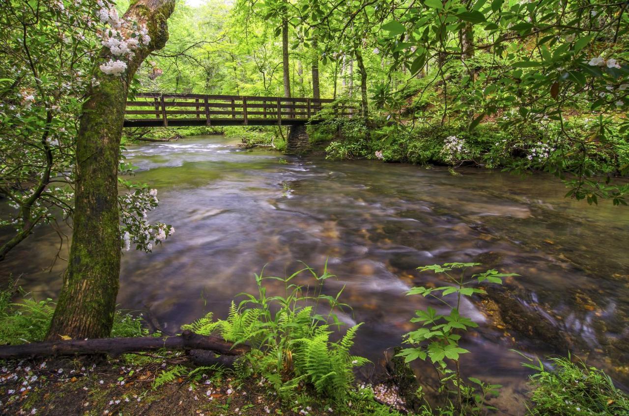 Bear View Chalet, 3 Bedroom, Pool, Pets, Arcades, Wifi, Hot Tub, Sleeps 12 Gatlinburg Eksteriør bilde
